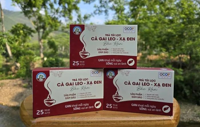 Sản phẩm trà Cà gai leo - xạ đen được chứng nhận đạt tiêu chuẩn OCOP 3 sao.