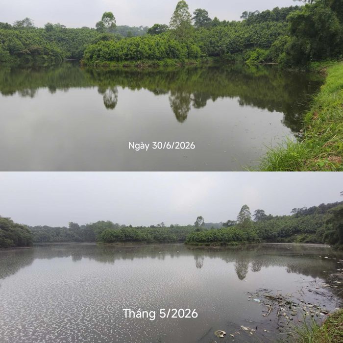 Nước hồ Đầm Sen đã có sự thay đổi về màu sắc và không ô nhiễm như trước.