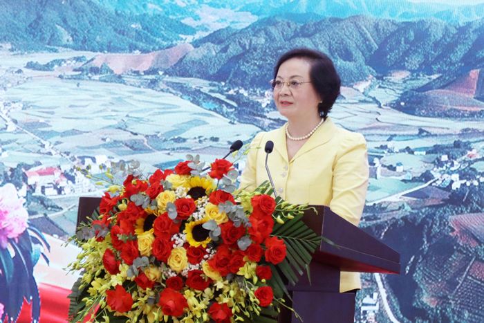 Bí thư Trung ương Đảng, Phó Thủ tướng Chính phủ Phạm Thị Thanh Trà phát biểu chỉ đạo tại hội nghị. Ảnh: An Nhiên