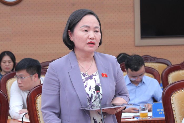 Phó Chủ nhiệm Ủy ban Kinh tế và Tài chính Phạm Thúy Chinh phát biểu