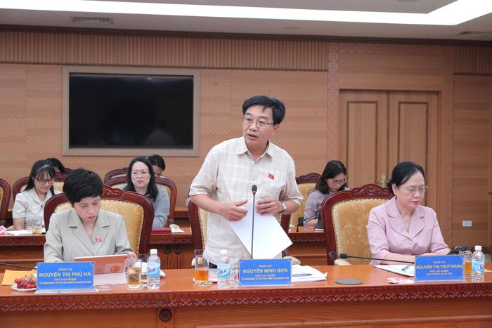 Phó Chủ nhiệm Ủy ban Kinh tế và Tài chính Nguyễn Minh Sơn phát biểu