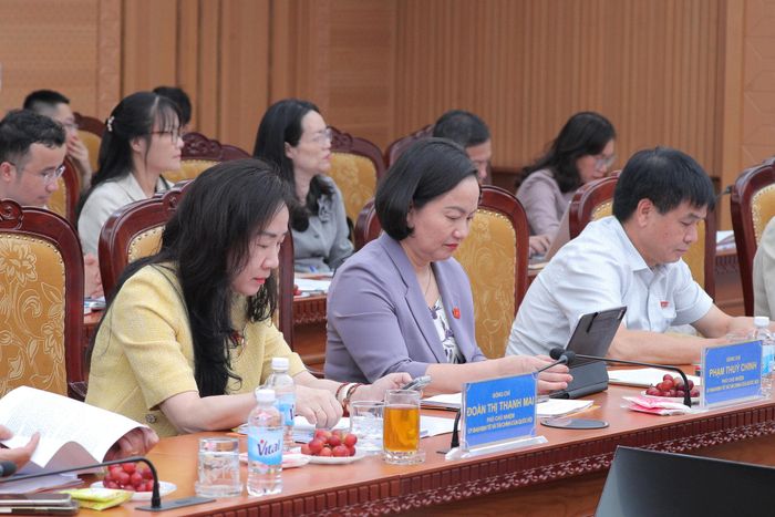 Các đại biểu tham dự cuộc làm việc
