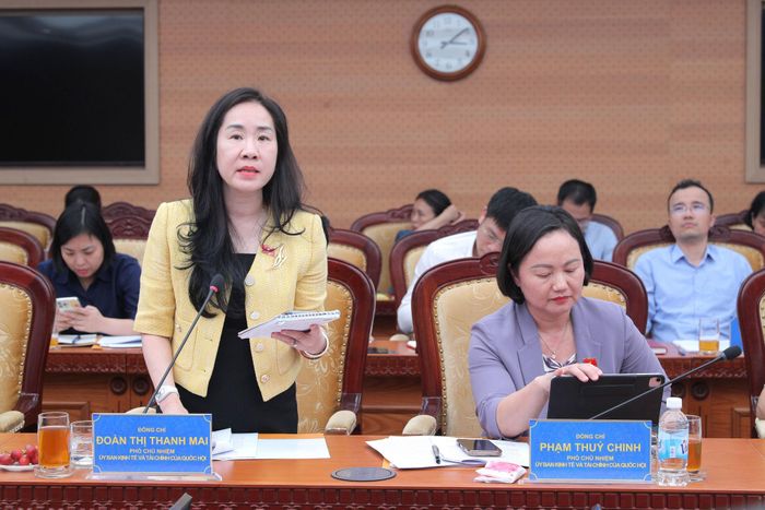 Phó Chủ nhiệm Ủy ban Kinh tế và Tài chính Đoàn Thị Thanh Mai phát biểu