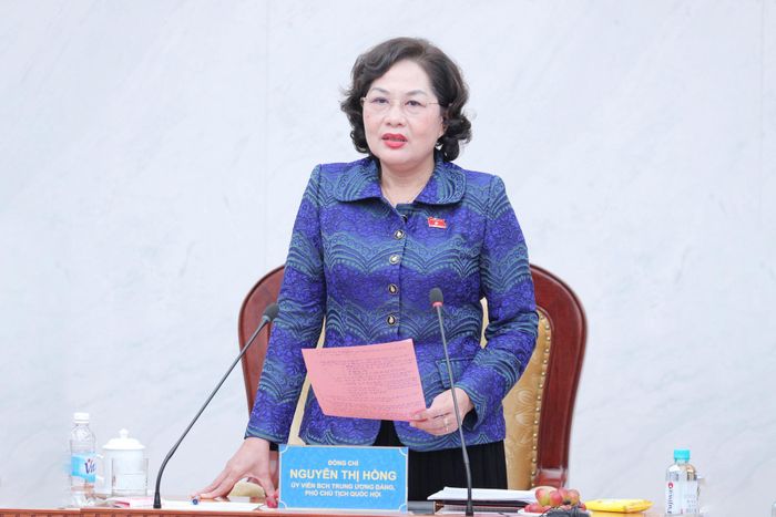 Phó Chủ tịch Quốc hội Nguyễn Thị Hồng phát biểu tại cuộc làm việc