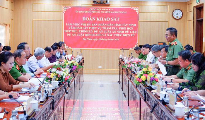 Quang cảnh cuộc làm việc