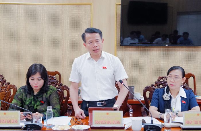 ĐBQH hoạt động chuyên trách tại Ủy ban Pháp luật và Tư pháp Nguyễn Hải Dũng phát biểu