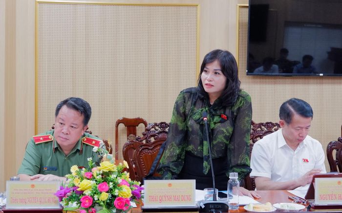 ĐBQH hoạt động chuyên trách tại Ủy ban Quốc phòng, An ninh và Đối ngoại Thái Quỳnh Mai Dung phát biểu