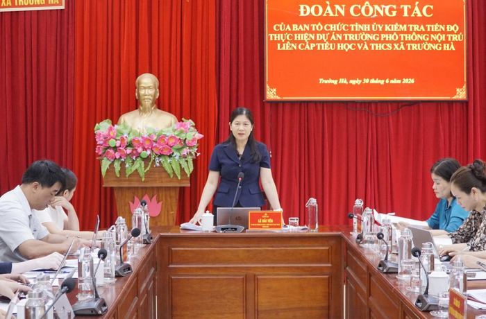 Đồng chí Lê Hải Yến, Trưởng Ban Tổ chức Tỉnh ủy phát biểu kết luận tại buổi kiểm tra.