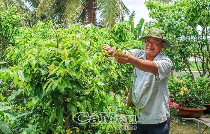 Đồng chí Tiền Văn Bình tận dụng thời gian chăm sóc cây kiểng, phát triển kinh tế gia đình và tạo không gian xanh tại nơi ở.