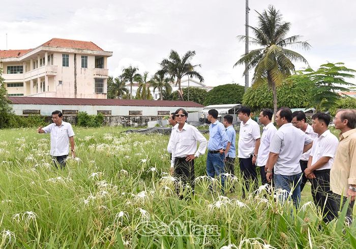 Các đại biểu khảo sát khu vực dự kiến xây dựng vườn hoa phía sau trụ sở Sở Giáo dục và Đào tạo tỉnh Bạc Liêu (cũ).