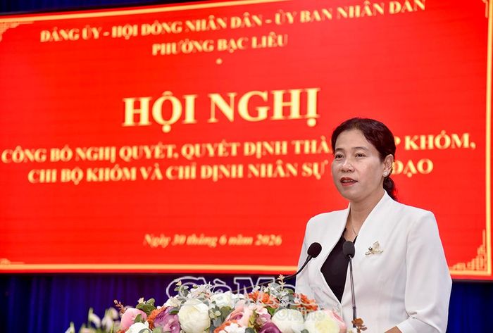 Bí thư Đảng ủy phường Bạc Liêu Tô Việt Thu đề nghị các đồng chí Ủy viên Ban Thường vụ, Ủy viên Ban Chấp hành được phân công chỉ đạo địa bàn theo sát, hướng dẫn, cho ý kiến kịp thời đối với vấn đề khó khăn, phát sinh trong quá trình triển khai nhiệm vụ ở các khóm, các chi bộ khóm mới.