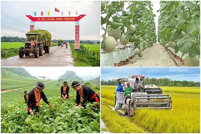 Chính phủ giao kế hoạch đầu tư công trung hạn vốn ngân sách trung ương giai đoạn 2026 - 2030 để triển khai các chương trình mục tiêu quốc gia. Ảnh minh họa