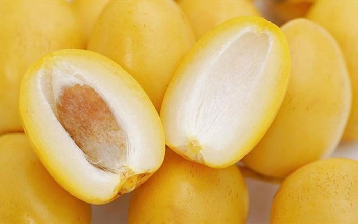 Dù mang lại nhiều lợi ích, các chuyên gia lưu ý chà là không phù hợp với mọi đối tượng. Ảnh minh họa