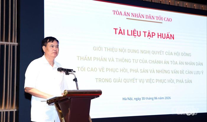 Thẩm phán TANDTC Trần Hồng Hà phát biểu tại Hội nghị.