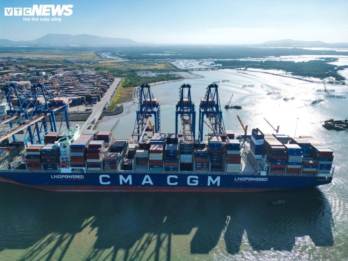Dự án cảng tổng hợp và container Cái Mép Hạ được triển khai trên diện tích hơn 351 ha tại phường Tân Phước với tổng mức đầu tư khoảng 50.820 tỷ đồng. Theo thiết kế, cảng có tổng chiều dài cầu bến khoảng 6,85 km, công suất khai thác dự kiến 11 triệu TEU mỗi năm và có khả năng tiếp nhận tàu container trọng tải tới 250.000 DWT, tương đương khoảng 24.000 TEU.