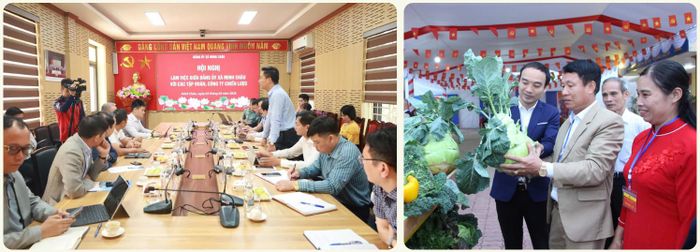 Nhiều công ty, tập đoàn công nghệ đang hỗ trợ Minh Châu xây dựng xã thông minh, phát triển nông nghiệp công nghệ cao theo hướng sinh thái.