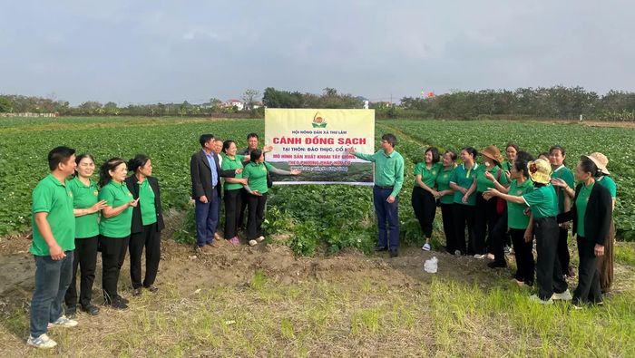 Xã Thư Lâm đang tập trung nhân rộng các mô hình sản xuất nông nghiệp giá trị kinh tế cao.