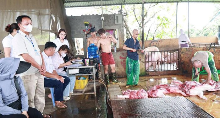 100% cơ sở giết mổ đã ký cam kết chấm dứt hoạt động trước 1-7-2026. Ảnh: Hoa Hồng