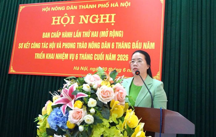 Chủ tịch Hội Nông dân thành phố Hà Nội Phạm Hải Hoa phát biểu tại hội nghị. Ảnh: Bình Minh 