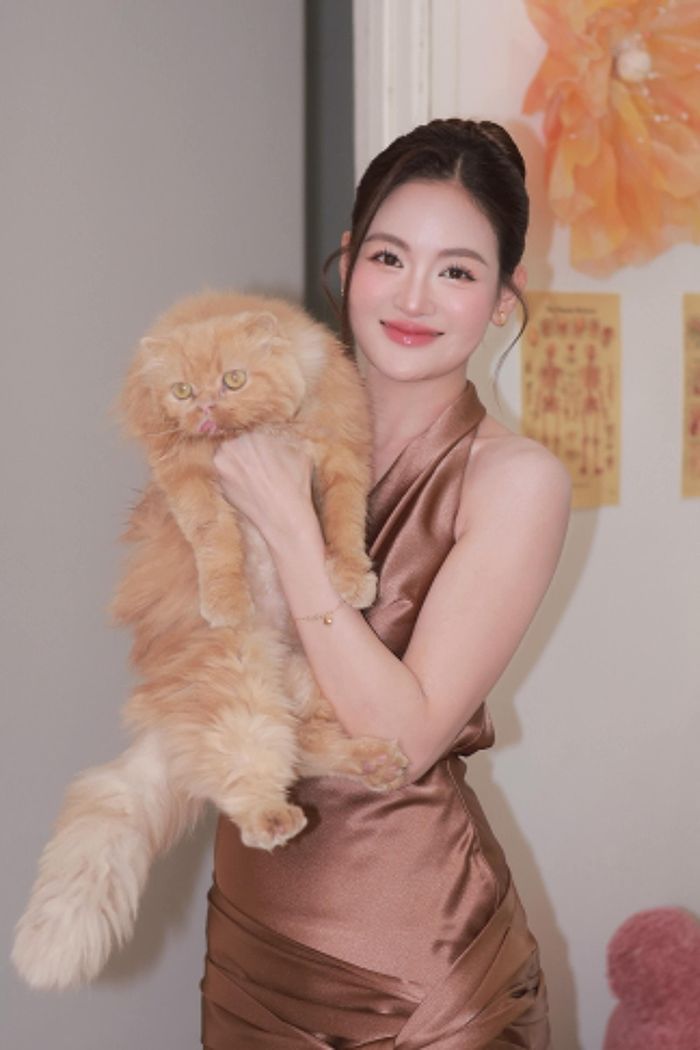 Ping – chú mèo bị hở hàm ếch được cô cưu mang.