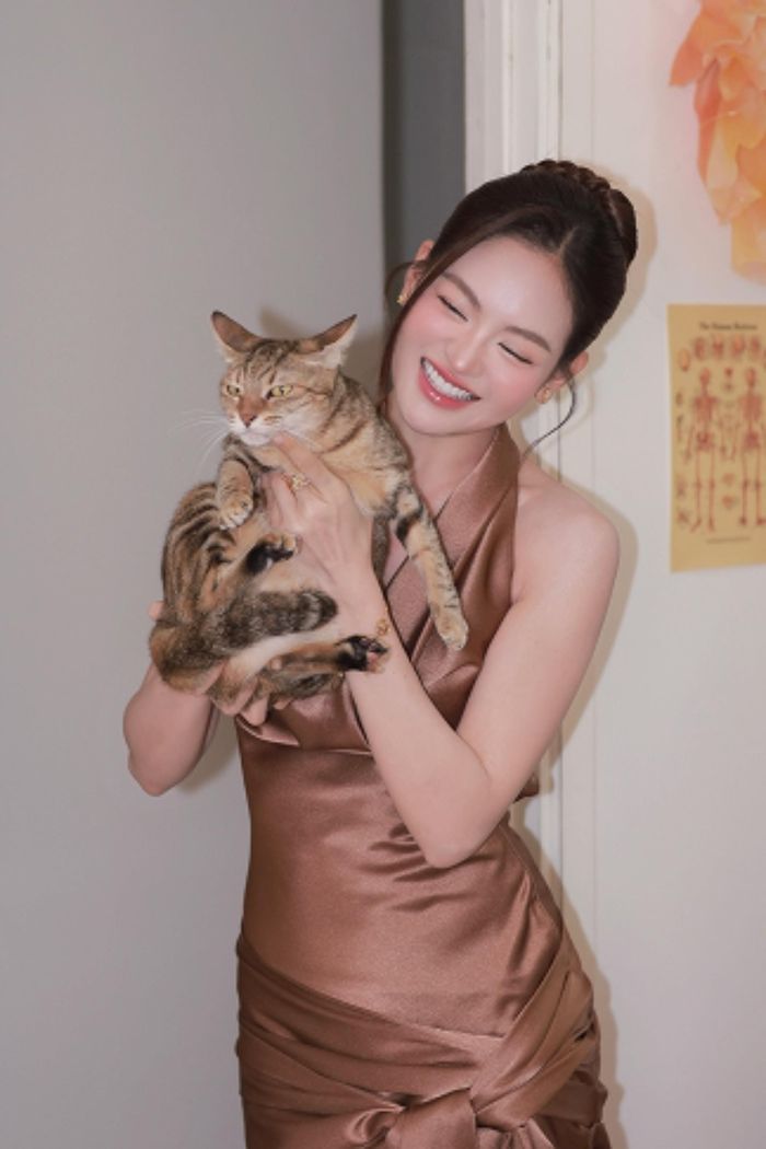 Thùy Anh nuôi 5 chú mèo, chăm bẵm như con trong gia đình.