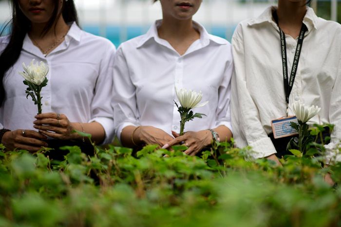Bên ngoài cổng Đại học Y Dược TP.HCM, hàng dài sinh viên đứng lặng im, những bông hoa trắng nổi bật trên nền áo blouse và sơ mi trắng.