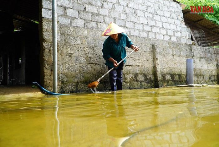 Bà Thủy dọn dẹp cật lực từ 4h sáng đến trưa vẫn chưa xong