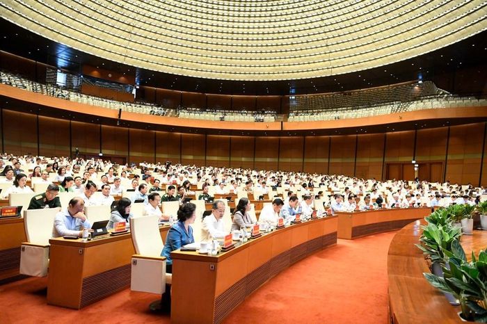 Các đại biểu dự Hội nghị