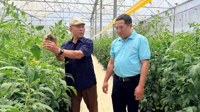Lâm Đồng chú trọng phát triển nông nghiệp xanh