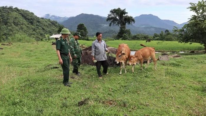 Kinh tế-xã hội vùng đồng bào dân tộc thiểu số và miền núi tỉnh Nghệ An đã có những bước khởi sắc.