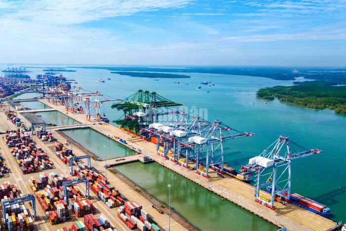 Dự án cảng tổng hợp và container Cái Mép Hạ được triển khai trên diện tích hơn 351ha tại phường Tân Phước với tổng mức đầu tư khoảng 50.820 tỷ đồng. Theo thiết kế, cảng có tổng chiều dài cầu bến khoảng 6,85km, công suất khai thác dự kiến 11 triệu TEU mỗi năm và có khả năng tiếp nhận tàu container trọng tải tới 250.000 DWT, tương đương khoảng 24.000 TEU.