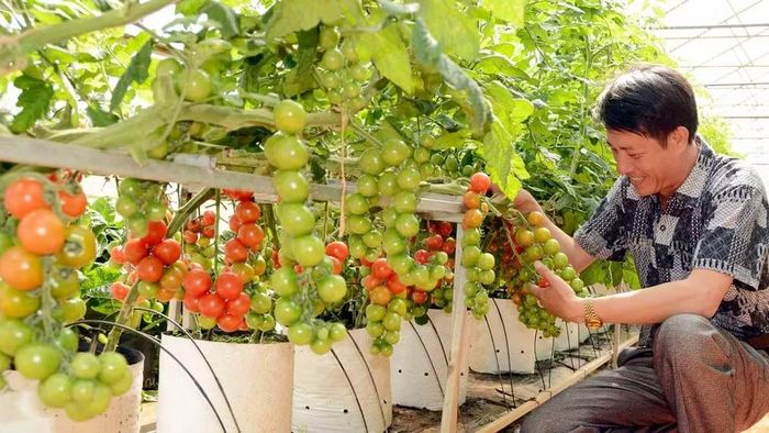 Muốn xây dựng được thương hiệu quốc gia, nền tảng trước hết phải đến từ chính doanh nghiệp.