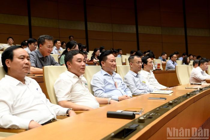 Các đại biểu tham dự hội nghị.