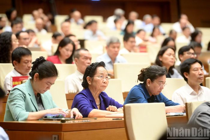 Các đại biểu tham dự hội nghị.