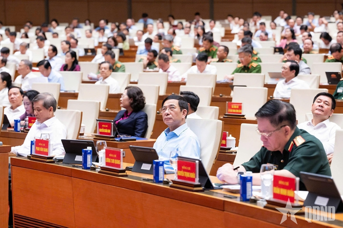  Các đại biểu tham dự hội nghị.