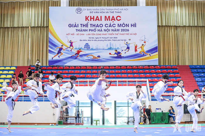 Một màn đồng diễn võ thuật.