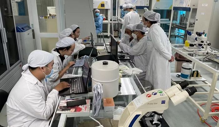 Nhà khoa học nghiên cứu tại phòng thí nghiệm tế bào gốc, Viện Tế bào gốc (Trường Đại học Khoa học Tự nhiên, Đại học Quốc gia TPHCM). Ảnh: Hà An
