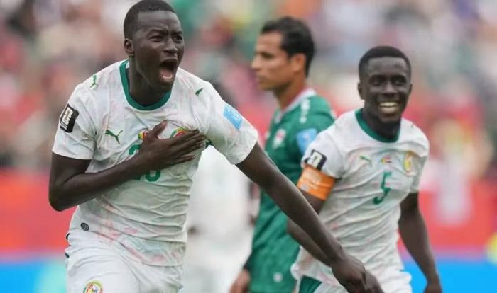 Ở chiều ngược lại, Senegal chỉ có khoảng 25% đánh bại đội tuyển Bỉ. Ảnh: Getty.