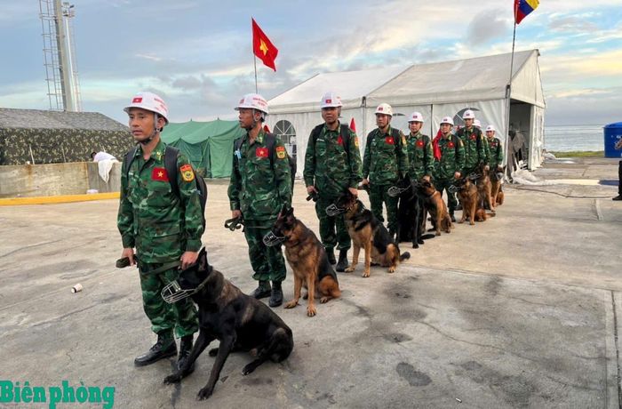 Cán bộ, huấn luyện viên Đội công tác Bộ đội Biên phòng Việt Nam cùng chó nghiệp vụ triển khai đội hình thực hiện nhiệm vụ tìm kiếm cứu nạn. Ảnh: Quốc Hương