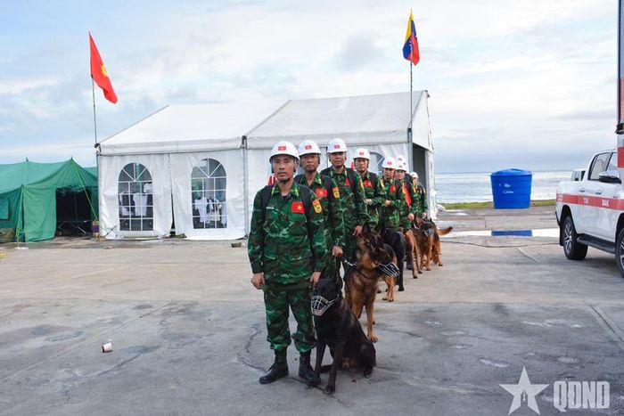 Đội công tác Bộ đội Biên phòng Việt Nam cùng chó nghiệp vụ sẵn sàng cơ động từ khu vực đóng quân, nhận nhiệm vụ tìm kiếm cứu hộ, cứu nạn tại bang La Guaira, Venezuela. Ảnh: QĐND