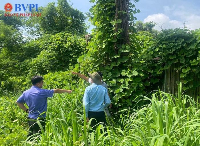 Kiểm sát viên VKSND Khu vực 2 khảo sát thực địa làm căn cứ khởi kiện.