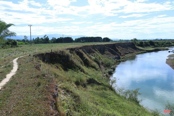 Từng là vùng chuyên canh màu trù phú của 30 hộ dân, cánh đồng Cây Si ở thôn Tân Lập, xã Hương Đô đang bị dòng sông Ngàn Sâu "gặm nhấm" từng ngày.