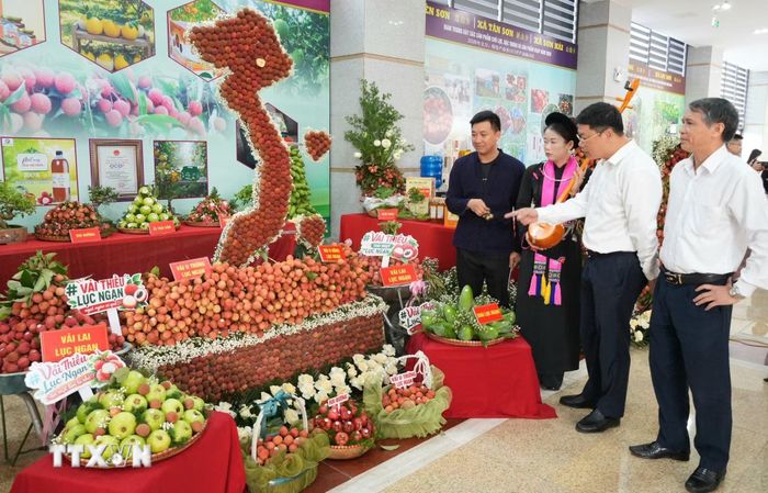 Bắc Ninh xúc tiến tiêu thụ vải thiều và nông sản chủ lực năm 2026. (Ảnh: Việt Hùng/TTXVN)