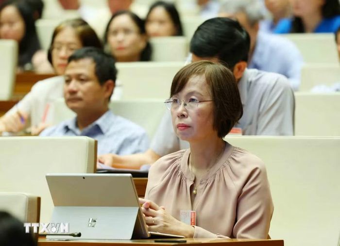 Đại biểu tham dự hội nghị. (Ảnh: Phương Hoa/TTXVN)