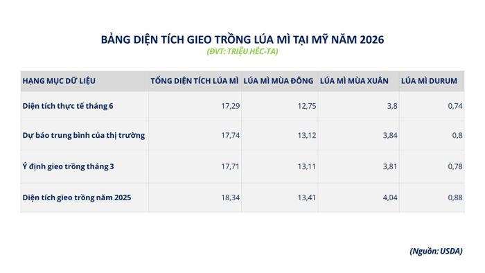 Bảng diện tích gieo trồng lúa mì tại Mỹ năm 2026.