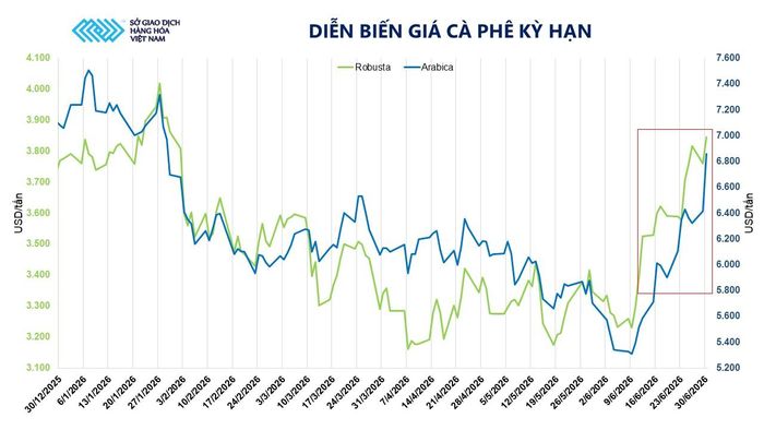 Diễn biến giá cà phê kỳ hạn.