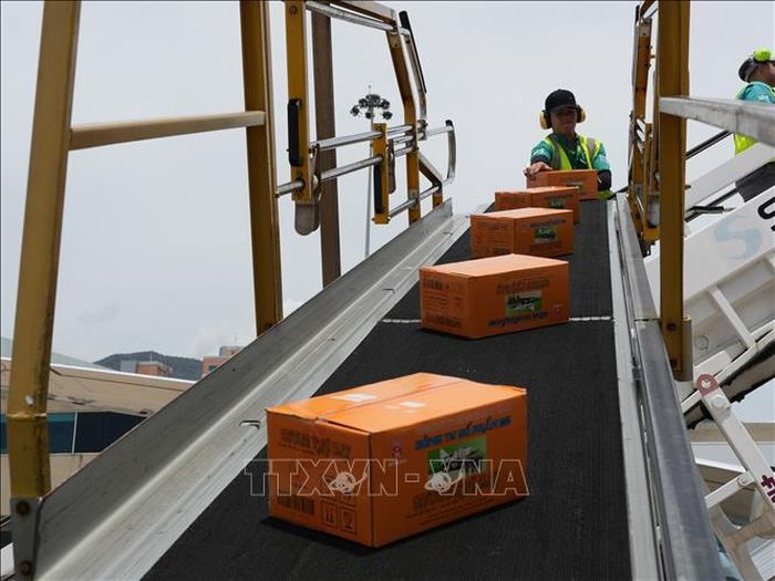 Vận chuyển hàng cứu trợ từ máy bay xuống sân bay quốc tế ở thủ đô Caracas. Ảnh: Phi Hùng/PV TTXVN tại Mỹ Latinh.