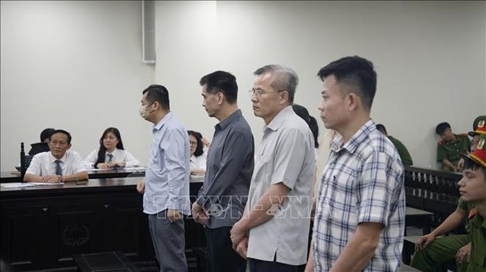 Cựu lãnh đạo Công ty Nam Triệu nhận các mức án cao về 2 tội "Tham ô tài sản" và "Lợi dụng chức vụ, quyền hạn trong khi thi hành công vụ".