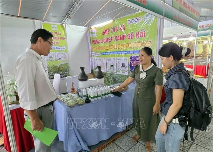 Khách tham quan mua sắm tại hội chợ.