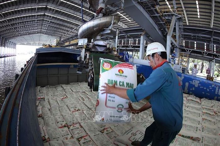 Vận chuyển sản phẩm phân đạm phục vụ thị trường trong nước ở Nhà máy đạm Cà Mau (Công ty Cổ phần Tổng công ty Phân bón Dầu khí Cà Mau), xã Khánh An, tỉnh Cà Mau.